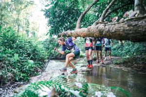 BIB: 
                            <button type="button" onclick="openModal(25443289)" class="btn btn-primary btn-sm float-right btn-popup" data-toggle="modal" data-target=".modal-high-quality">
                        <i class="fas fa-shopping-cart"></i> Add to Cart
                    </button>
                                            <button type="button" onclick="isThisMe(25443289, true)" class="btn btn-success btn-sm float-right btn-popup btn-isme hidden" data-toggle="tooltip" data-placement="bottom" title="นี่คือรูปของคุณใช่ไหม คลิกที่นี่เพื่อเอาเข้าอัลบั้ม">
                        <i class="fas fa-plus"></i> Add to album
                    </button>
                    <button type="button" onclick="isThisMe(25443289, false)" class="btn btn-warning btn-sm float-right btn-popup btn-isnotme hidden">
                        <i class="fas fa-ban"></i> Remove from album
                    </button>